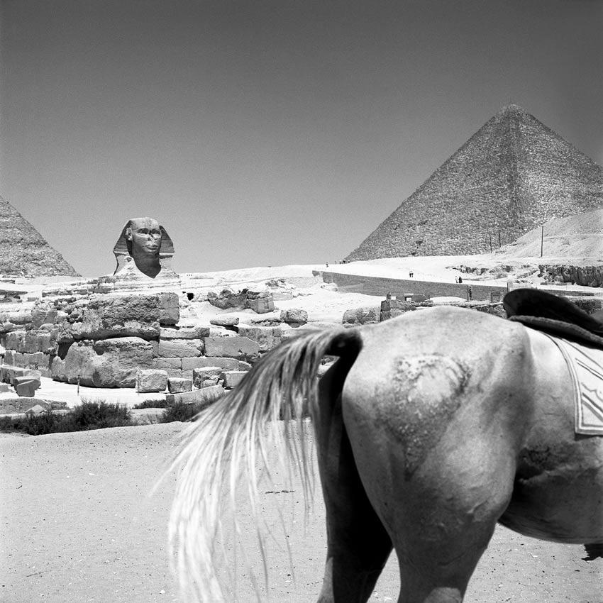1959, Egypt