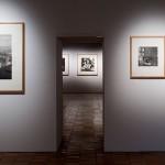 Vivian Maier: A Photographic Revelation